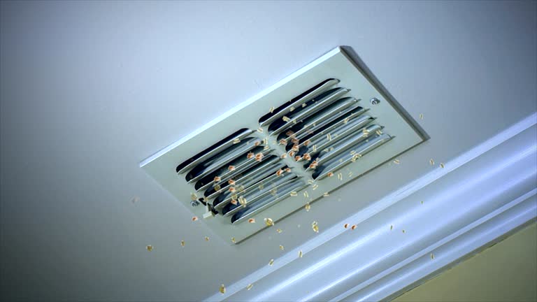 Best HVAC Duct Inspection Services  in Manheim, PA